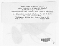 Image Associated With the Occurence